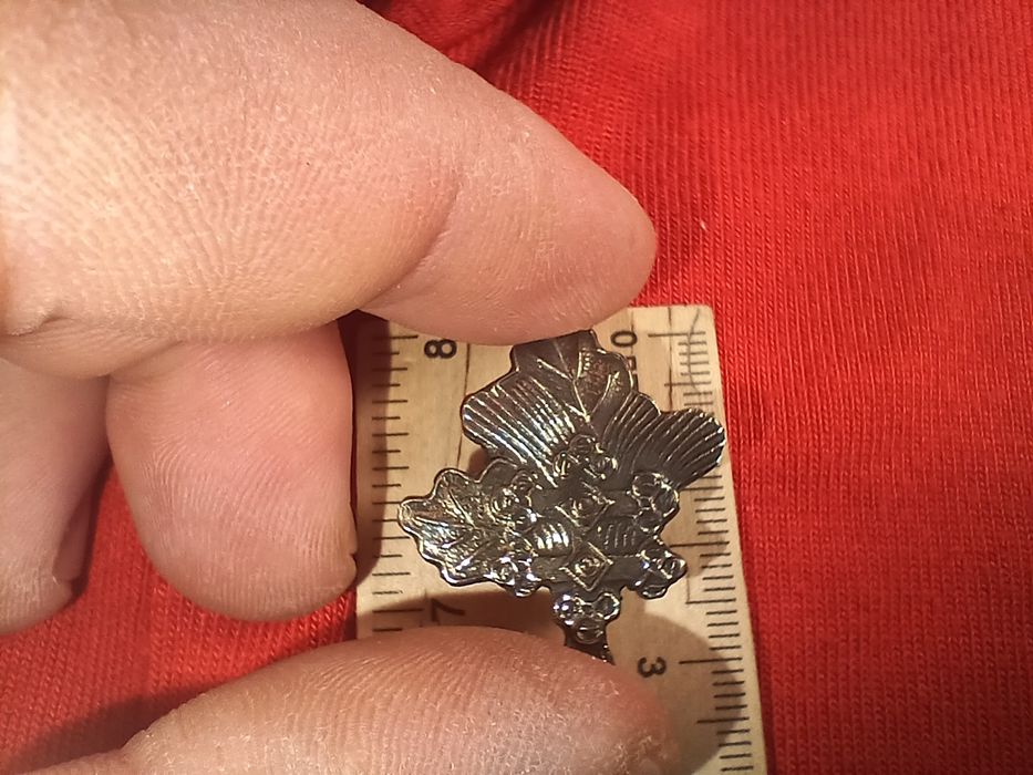 Korpusówki huculskie