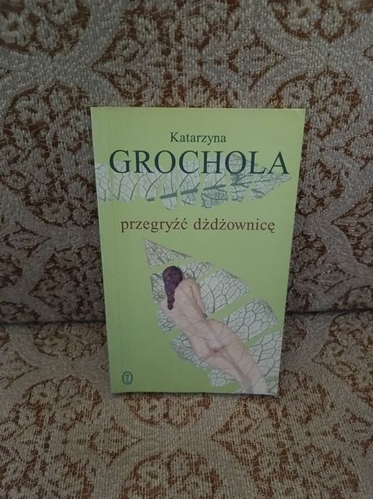 Przegryźć Dżdżownicę Katarzyna Grochola