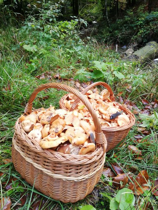 Wolne noclegi, pokoje w górach nad jeziorem, Zalew Klimkówka