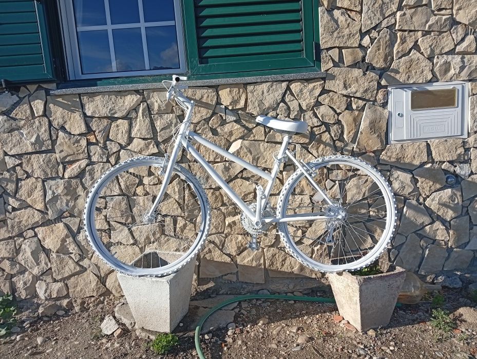 Bicicleta antiga