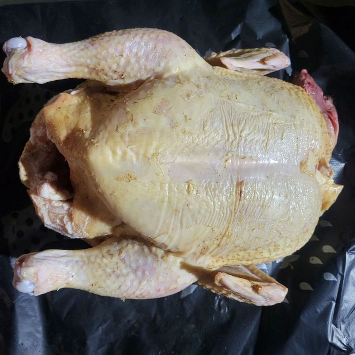 Продам домашнього бройлера