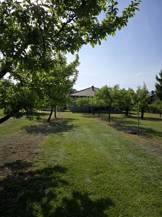 Sprzedam dom na dużej działce 1,02 ha