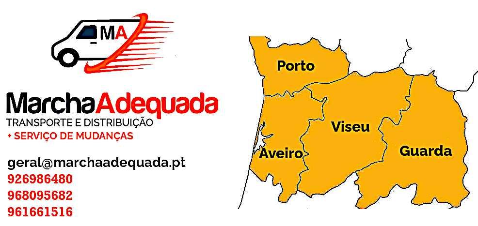 Transporte e Mudanças - Porto / Aveiro / Viseu / Guarda / Covilhã / Fundão