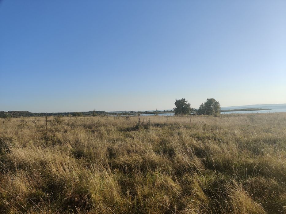 Продаж земельної ділянки Циблі