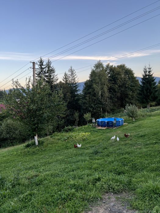 Садиба"Соснова гілка"