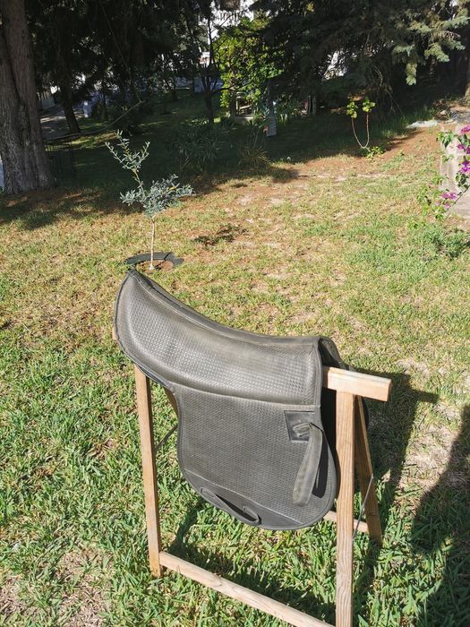 suadouro com protecção do dorso