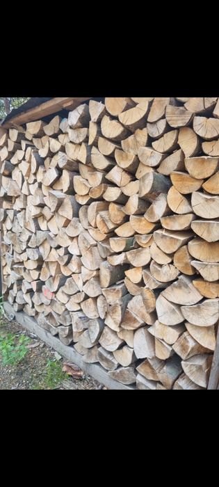 Drewno Kominkowe BUK