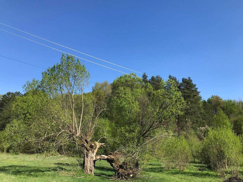 Продам земельну ділянку у Середкевичах під форелеве господарство .