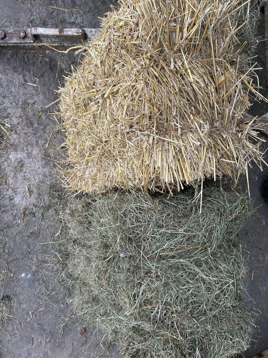 Słoma i siano w kostkach, stacjonarnie i z dowozem
