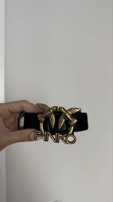 Pasek pinko love aster