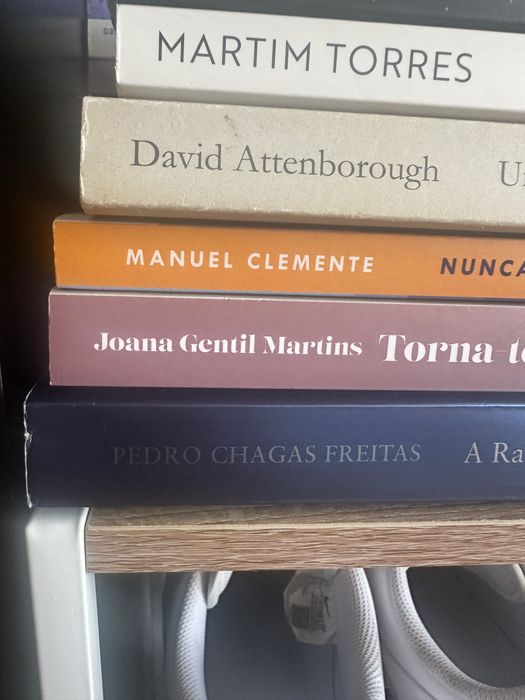 A Raridade das Coisas Banais