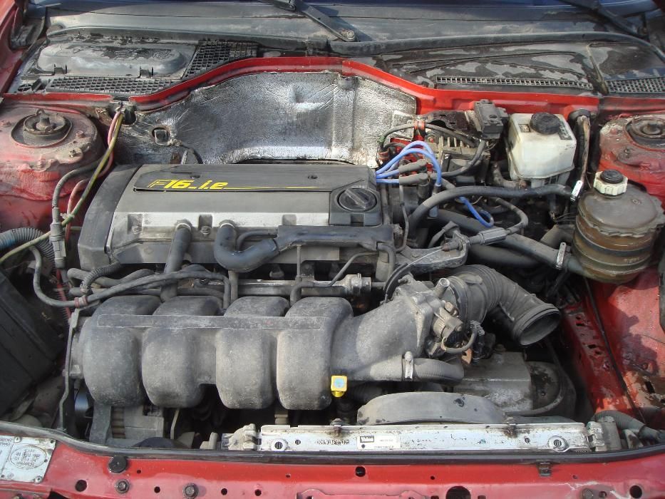 Запчасти  двигателя  Renault -19.