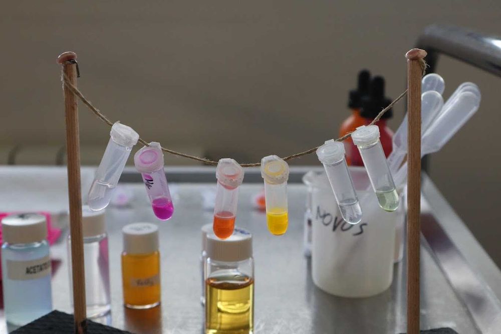 Explicações de Física, Química e Biologia (Básico, Secundário e Faculdade) | Estudante de Bioquímica FCUP/ICBAS (Universidade do Porto)