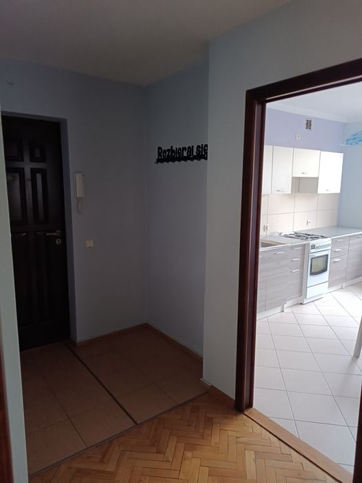 Mieszkanie na wynajem