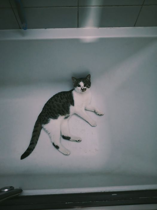 Do pokochania i tulenia