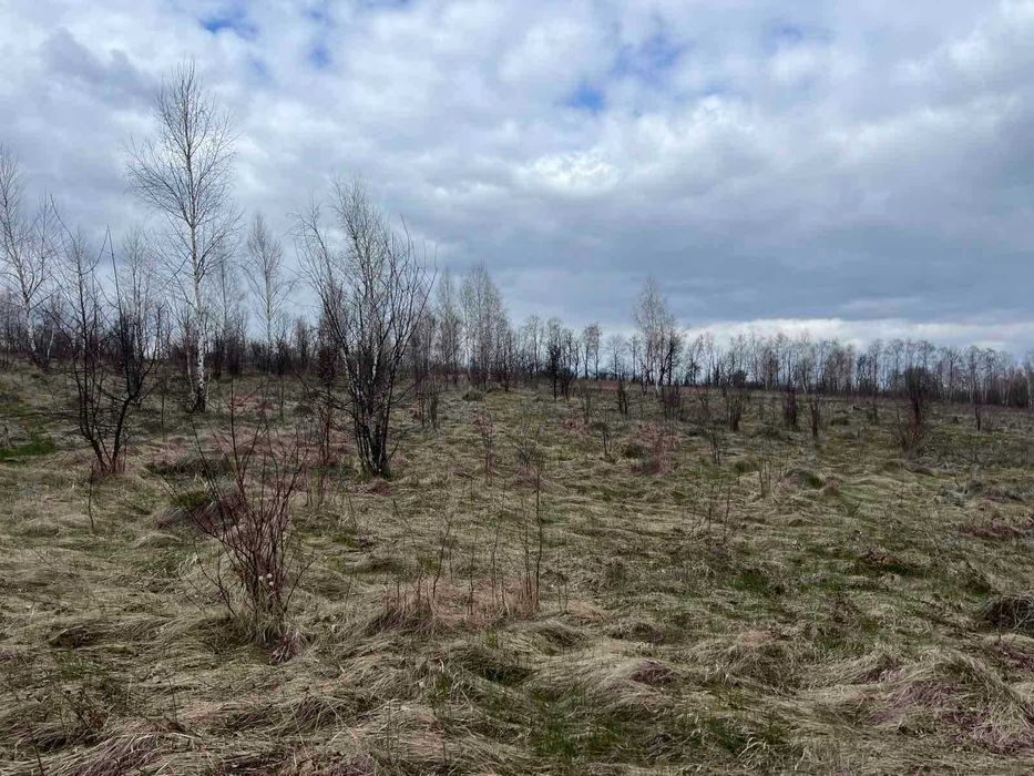 (5) Продам земельну ділянку 12 с в смт. Вороновиця 8116