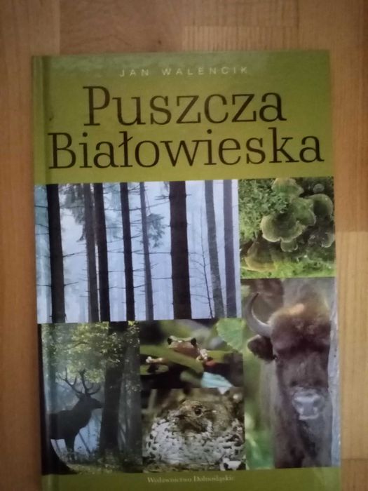 Puszcza Białowieska