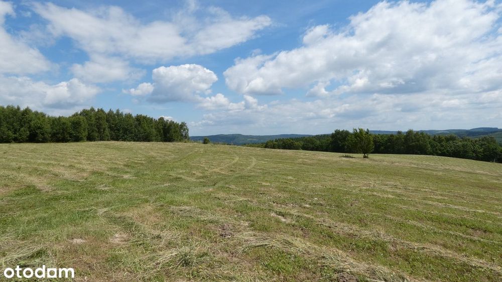 Projekt inwestycyjny 11,5 ha | Potencjał 60 działek |Okolice Rzeszowa