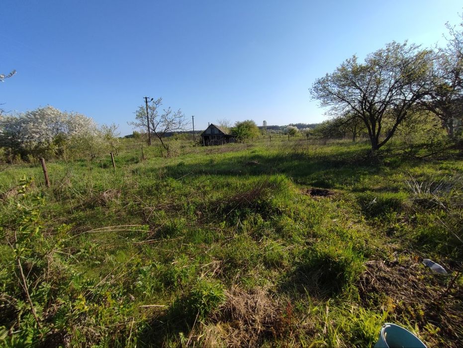 Земельна ділянка у Сальнику 10 соток