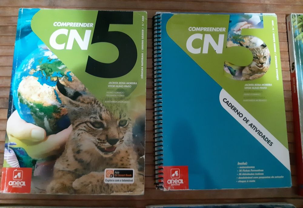 Manuais e caderno de atividades 5. Ano
