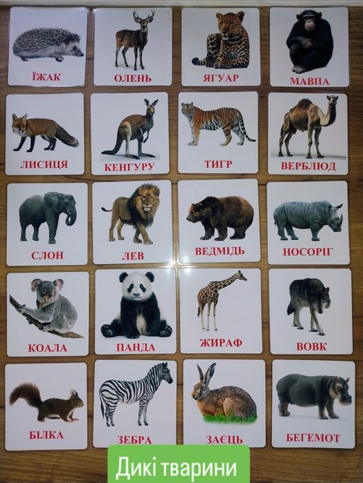 Картки Домана, карточки домана, ламіновані розвиваючі картки від 40 гр