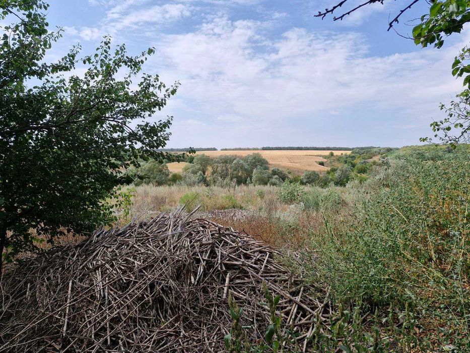 Будинок в селі Кіровоградська обл