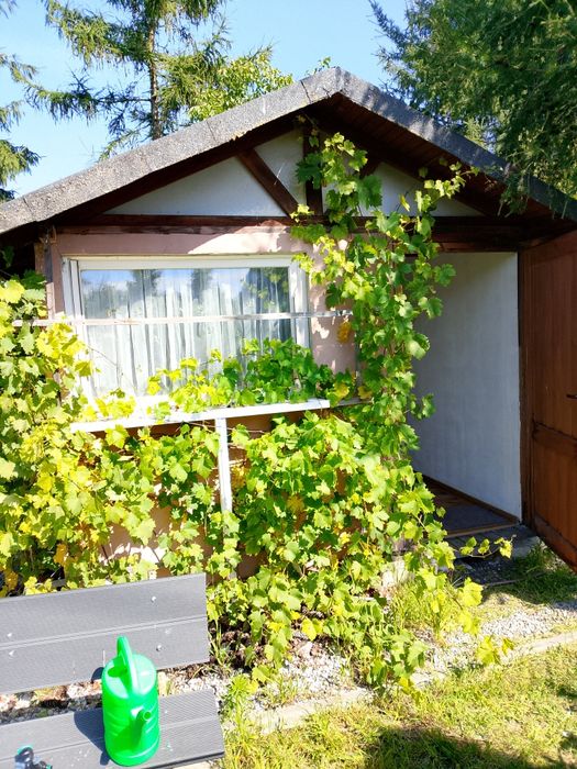 Działka ROD sprzedam