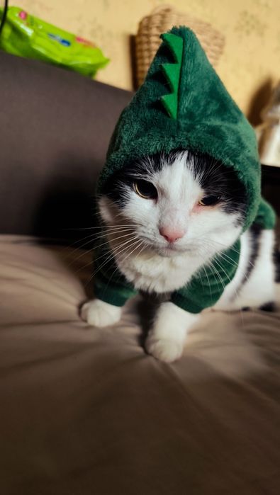 Костюм для тварин собаки кошения дракон динозавр зелёный новый рік