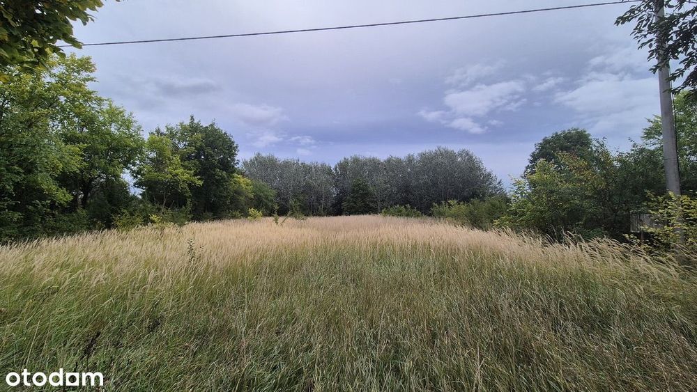 Działka budowlana 4684 m² – Olszewice k. Inowrocławia | MPZP - Widok 5