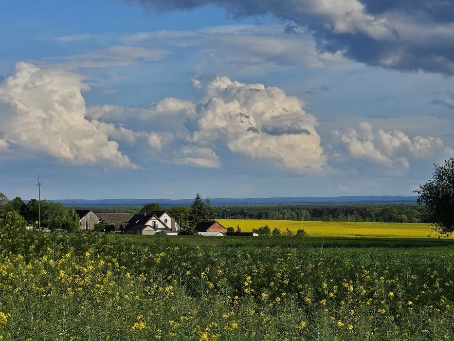 Działki budowlane Trzebicko