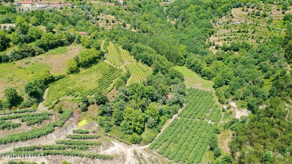 Quinta V3 em Caçarilhe