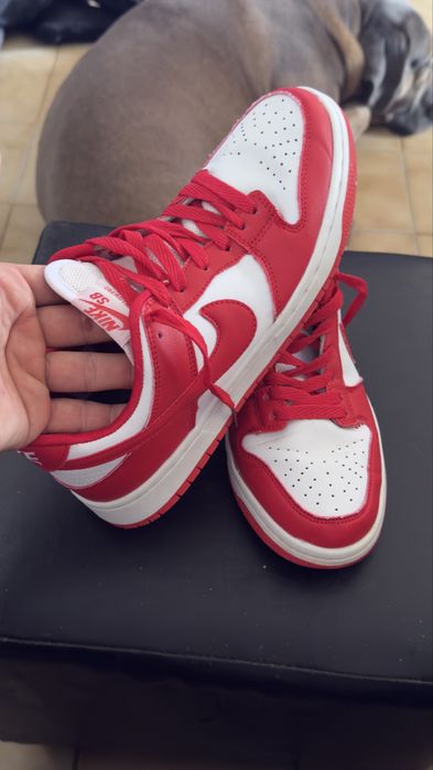 Nike SB Dunk Low Pro