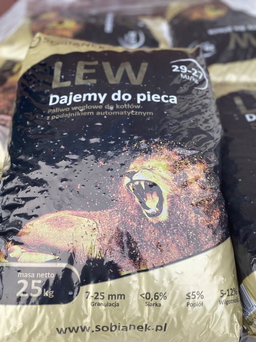 GROSZEK Lew Sobianek i Pantera