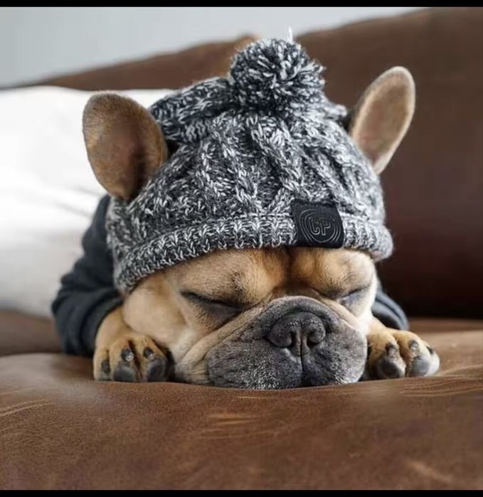 Шапка для собаки