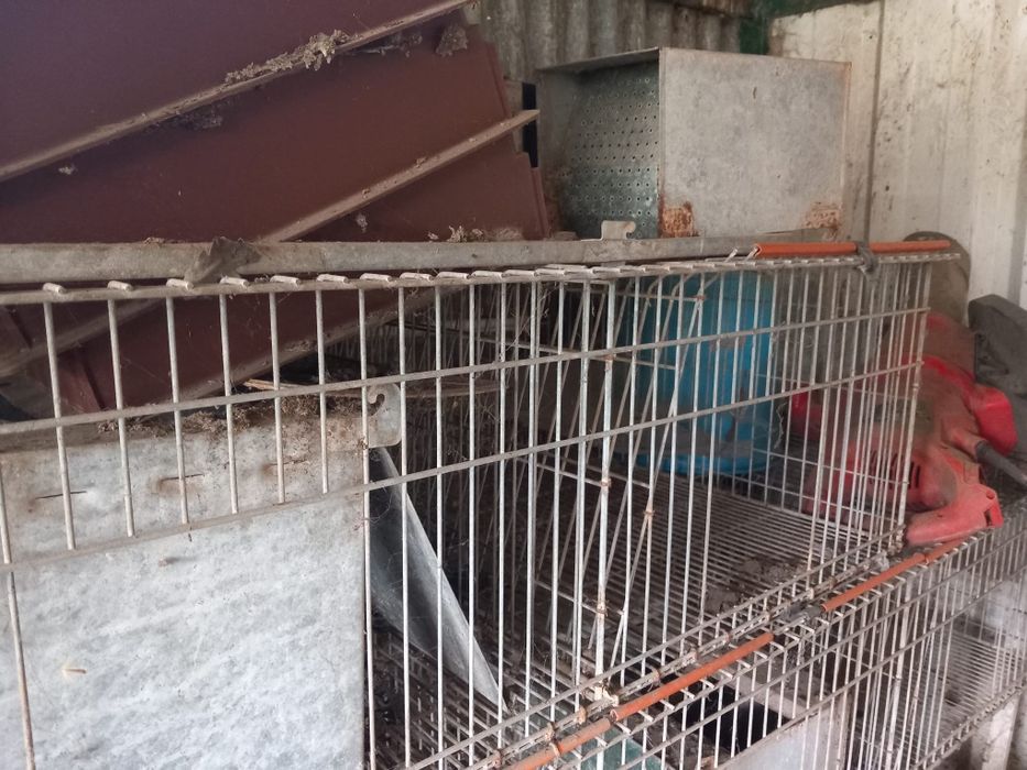 Jaula para coelhos