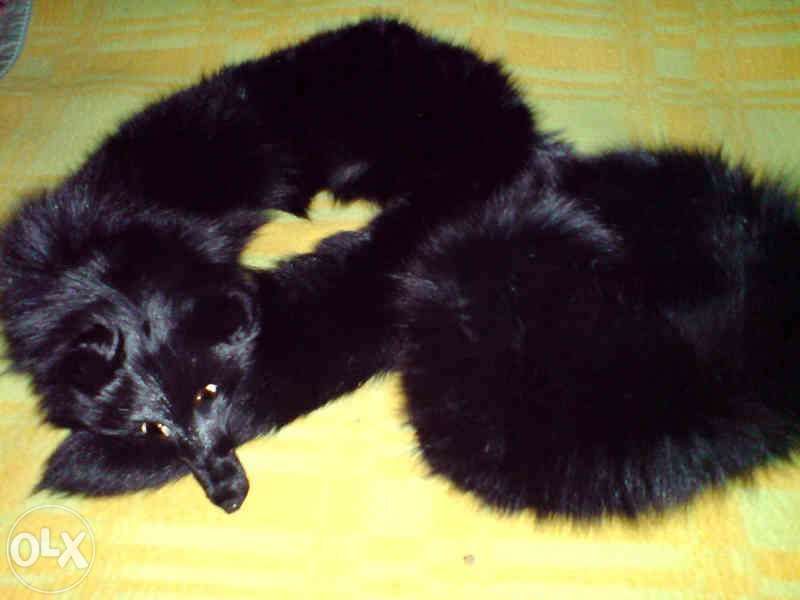 Czapka z lisa czarnego i etola - komplet