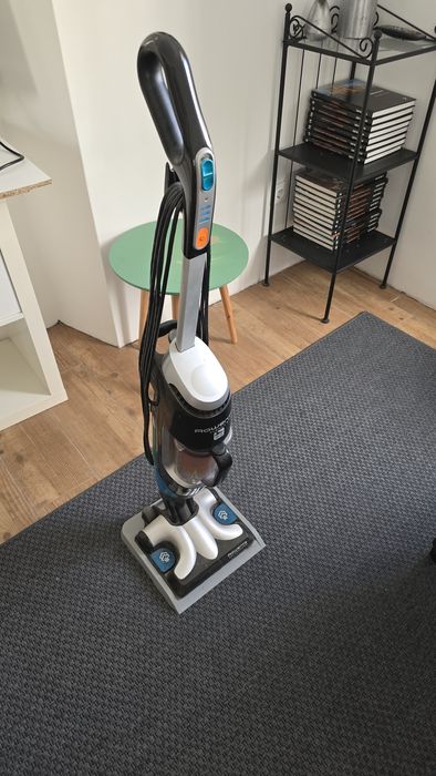 Rowenta clean & stem