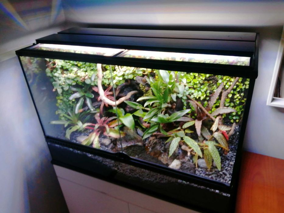Terrário Exo Terra 90 x 60 x 45 cm