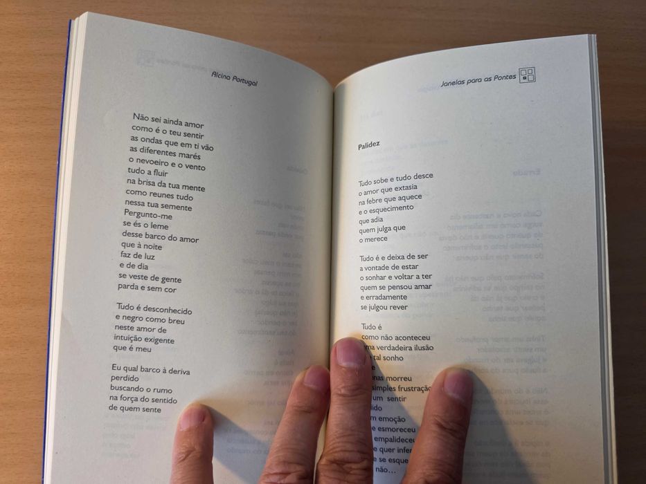 Livro "Janelas para as Pontes" de Alcina Portugal