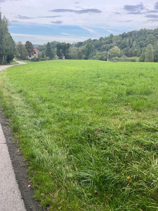 Działka rolno- budowlana - Widok 5