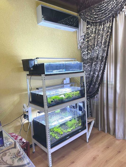 Акваріумний бізнес,