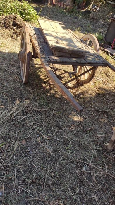Carro de bois madeira
