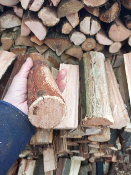 Дрова СуХі та свіжоколоті твердих порід