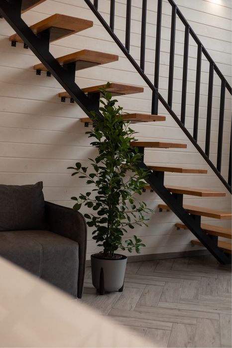 Відпочинок в Карпатах. Котедж з чаном. Оренда Микуличин Буковель. Шале