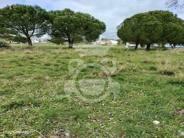 Terreno à venda 0,5ha em Évora