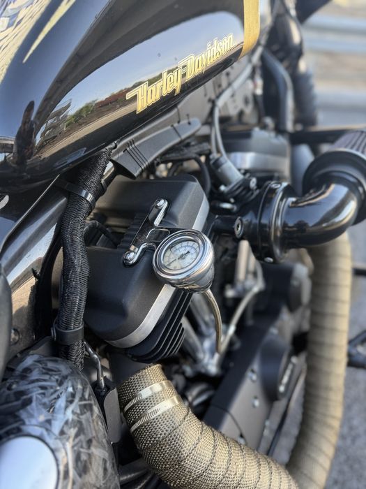 Harley-Davidson (Sportster) iron 883N/1200 Custom