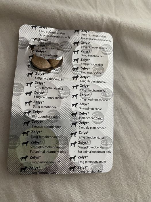 Comprimidos cão Zelys 5mg
