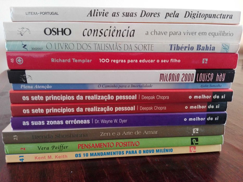Livros Auto-Ajuda e Desenvolvimento Pessoal