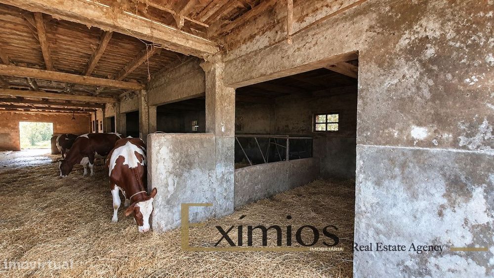 Quinta com 19.600m², situada na Maia
