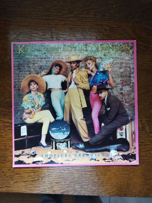 Disco vinil antigo